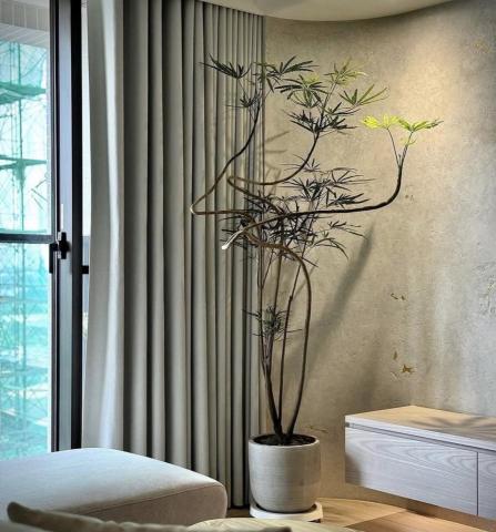 植得景觀-園藝景觀設計工程 - 居家植栽選品，上盆栽種