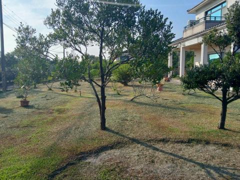 森采園藝環境維護~宇 - 整理後