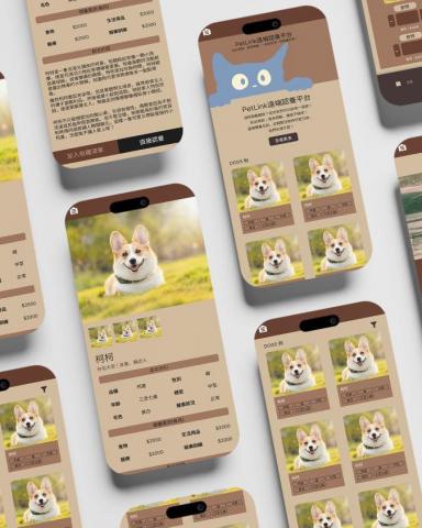 趙翊如 - 領養網站