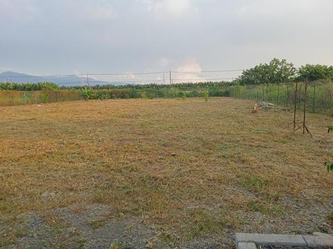 森采園藝環境維護~宇 - 整理後