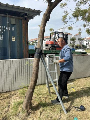 植得景觀-園藝景觀設計工程 - 喬木加固（圖為鍍鋅錏管，亦可使用鋼索調整器、竹子）