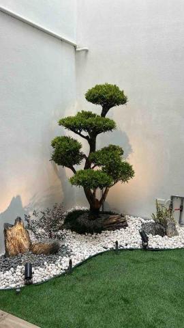 植得景觀-園藝景觀設計工程 - 天井造景，羅漢松主樹搭配景石及點綴植栽