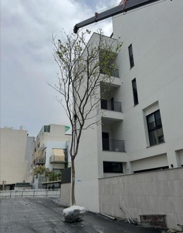 植得景觀-園藝景觀設計工程 - 種樹工程(前置斷根、保護作業、吊運工程)