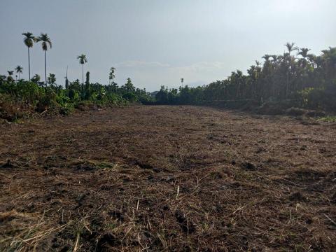 森采園藝環境維護~宇 - 整理後