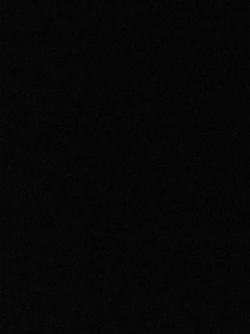 楠梓兒童英文老師推薦陳信瑜