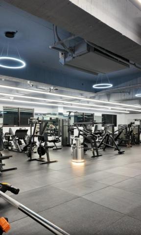 林昱豪 - 完整重訓器材空間，包含固定式與自由重量設備，可進行肌力建立與體態雕塑訓練。