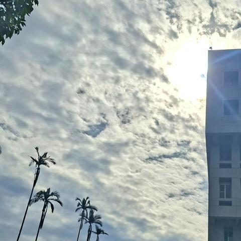 提供109學測英文答案服務的專家賴允童