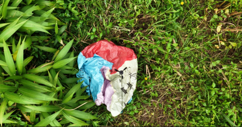 林莛蓁 - 撿拾天燈紀錄