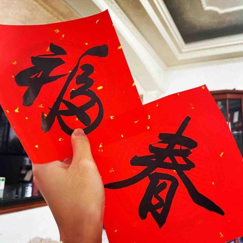 楊心洋 - 行書春聯