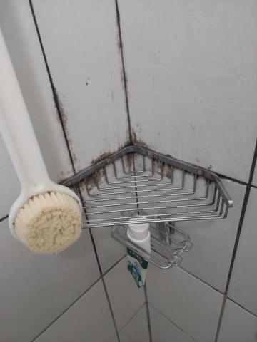 提供清水服務的專家鄭玉玲