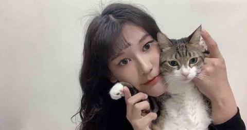 提供到府洗澡服務的專家ㄚ莞