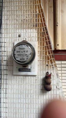 恩光 - 申請台電電表