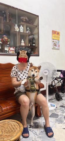 迪亞哥的歡樂 - 我是屏東人住高雄，如果有回屏東，我也會把他們帶回家家裡的人都很喜歡狗狗。