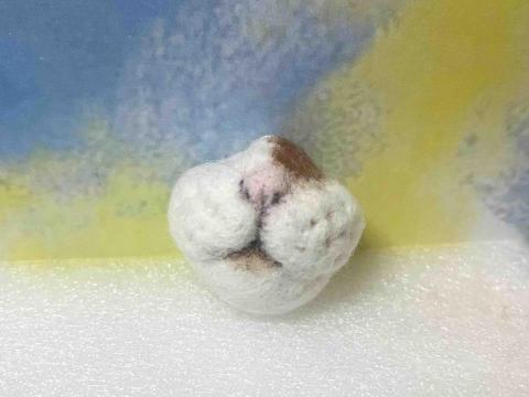 方吉Chiu - 貓鬍鬚收集器