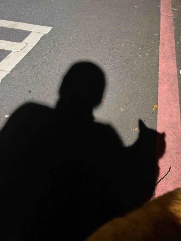 提供地陪服務的專家Chang