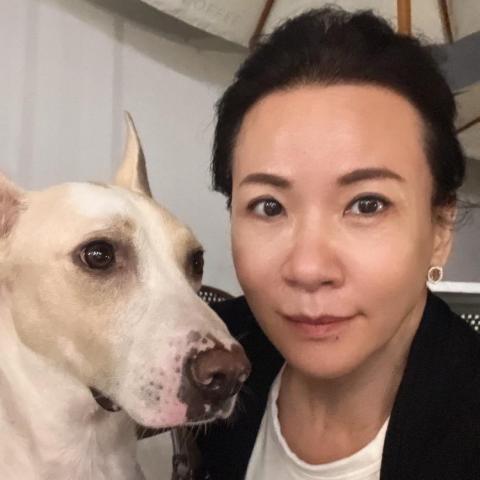 提供寄養服務的專家迪亞哥的歡樂