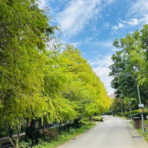 提供數學教學服務的專家雷達