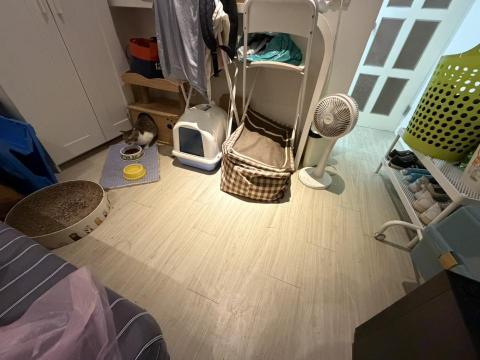 迪亞哥的歡樂 - 