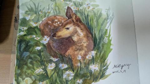 漫漫 - 水彩動物插畫