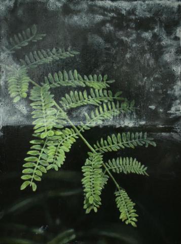 梅林 - 油畫 12p 2025