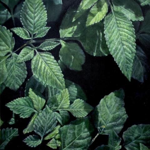 提供兒童美術創作服務的專家梅林