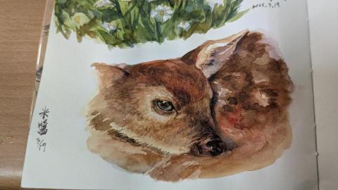 漫漫 - 水彩插圖