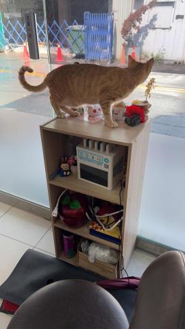 王文萱 - 吃飽看風景