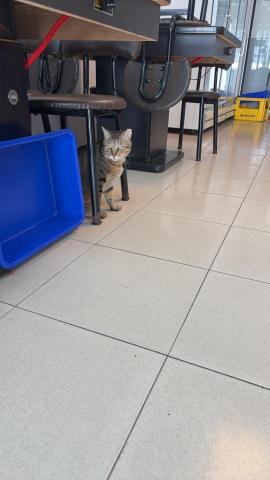 王文萱 - 吃飽走走