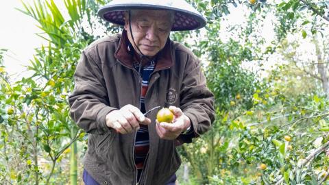 嶼蒔聚晉永續事業 - 協助地方農民，申請補助轉型。
