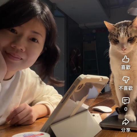 提供到府保母缺點服務的專家Fufu芙芙到府貓咪保母