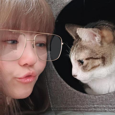 提供貓砂服務的專家謝啦啦