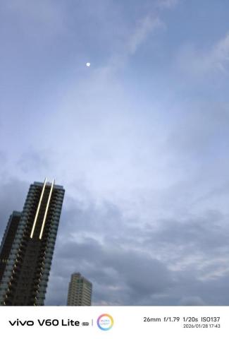 提供動漫a書服務的專家Miki Yang