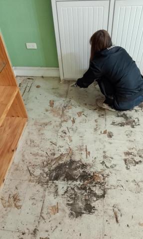 拆除裝潢/打石/搬運 - 電動除地膠