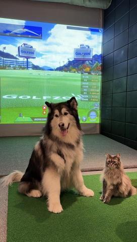 Lake golf - 寵物友善??