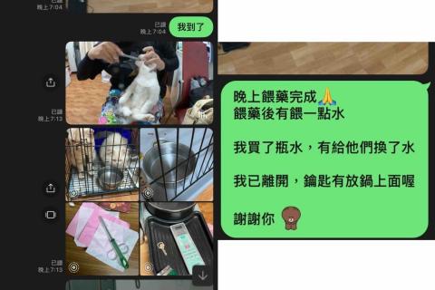 美琪寵物保姆(到府居家殘貓照顧） - 