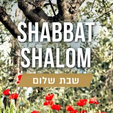 九如衣服送洗推薦淨淨居家