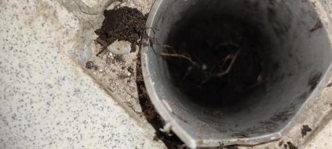 順順通在地服務 - 