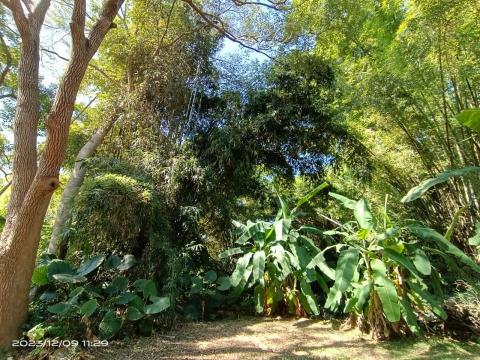 自己接案 - 金桔觀光工廠的風景照