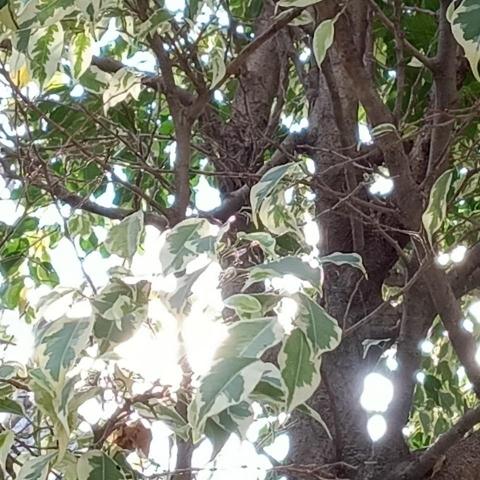 提供ppt範本服務的專家自己接案