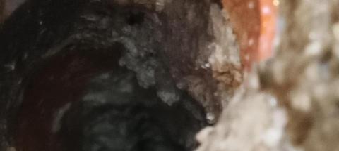 順順通在地服務 - 