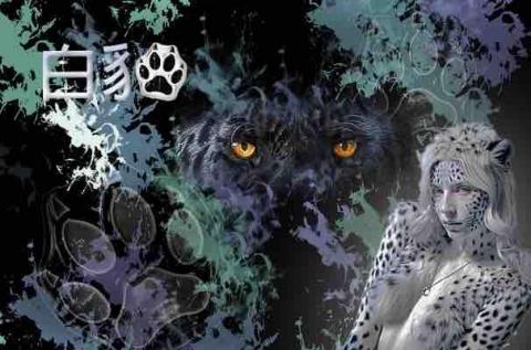 李佩樺 - 海報主視覺