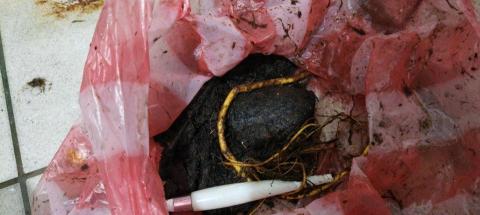 順順通在地服務 - 