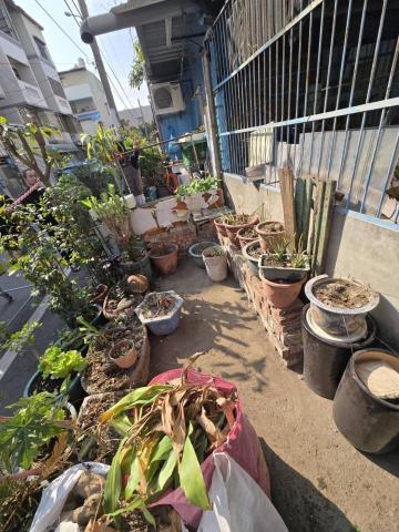 秧藍園藝 林先生 - 嘉義案場-維護後