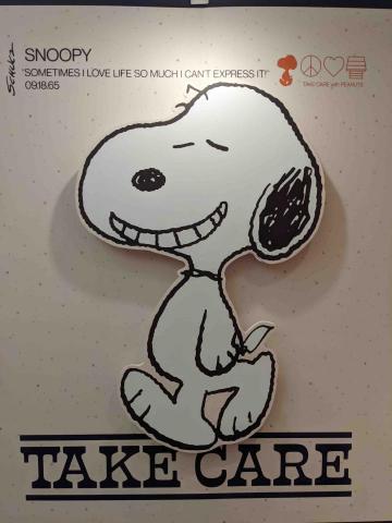 提供123服務的專家小潘