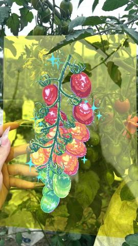 菇菇雞 - 委託彩繪插畫