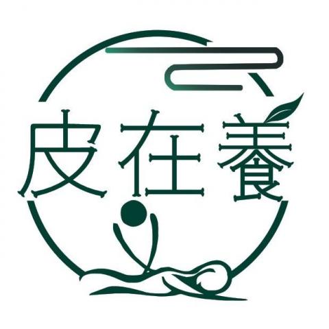 皮在養經絡調理