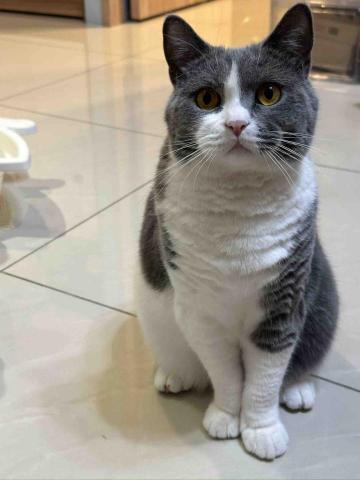 提供股票穩服務的專家芮芮｜專業文書處理 / 資料輸入/家庭代工