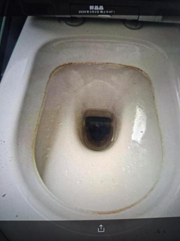 柚子清潔工作室 - 2／27日下午清潔重度結石馬桶前
