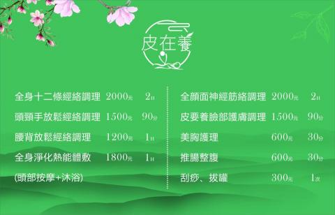 皮在養經絡調理 - 項目表