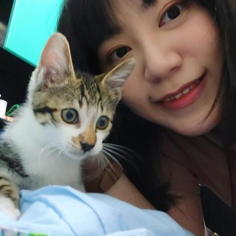 提供esg定義服務的專家馮佩儀